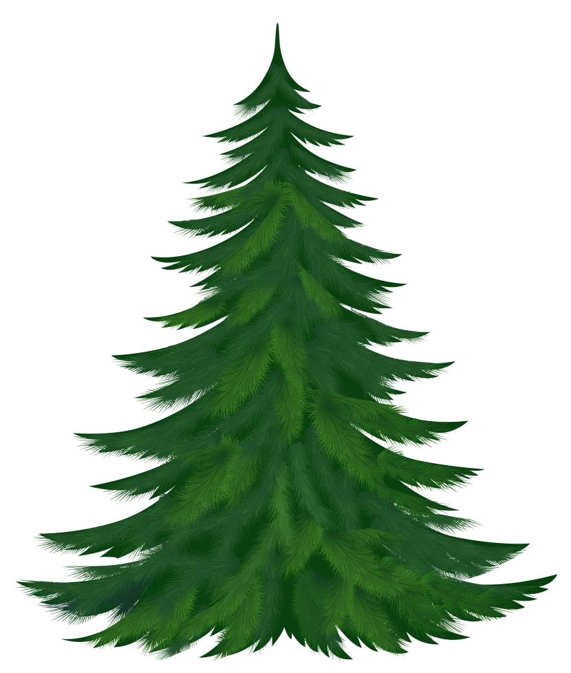 830x978 Clip Art Pine Trees Clipart Collection