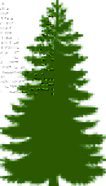 347x609 Fir Tree, Landscapes, Enormous, Nature, Evergreen, Immortal, Huge
