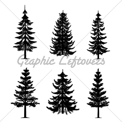 500x500 Collection Of 6 Pine Trees On Isolated White Ba Ink