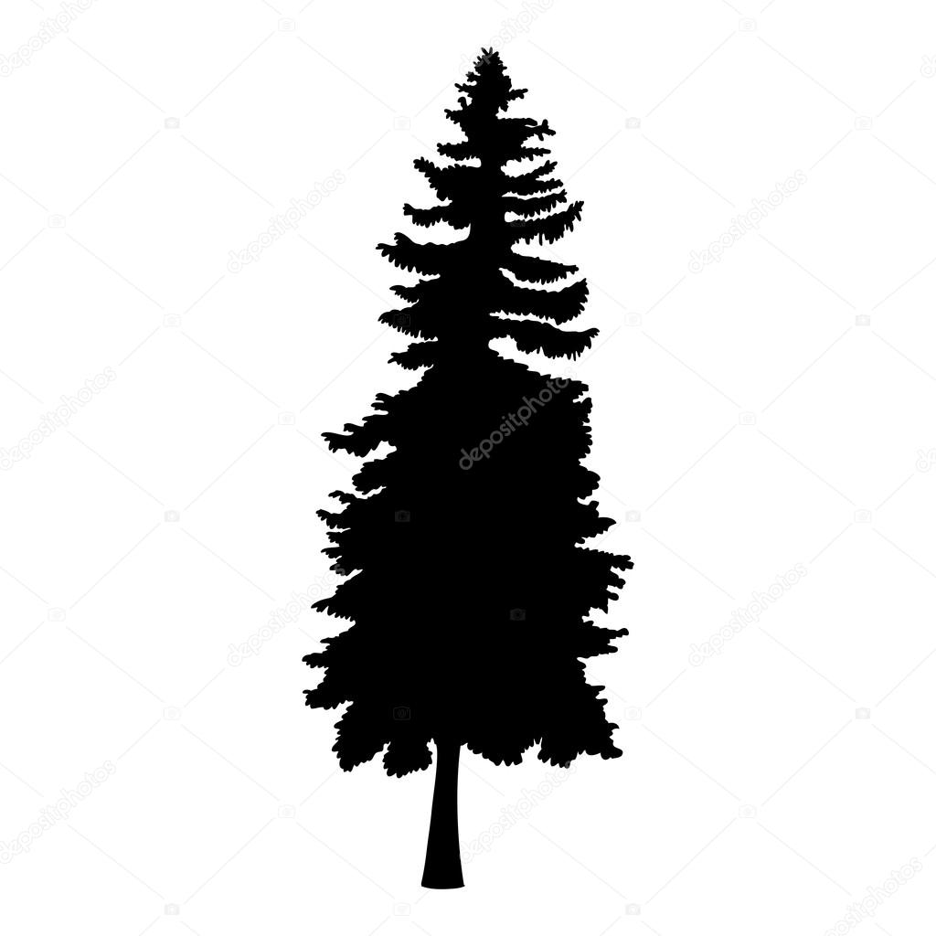 1024x1024 Drawn Fir Tree Silhouette
