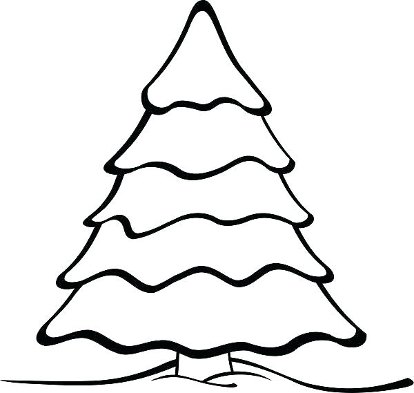 600x569 Tall Pine Tree Outline Printable Coloring Vector Illustration Tree