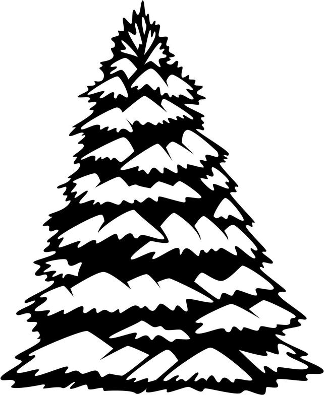642x784 Pine Tree Clipart Spruce