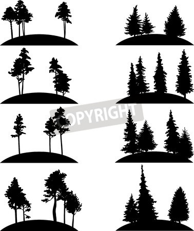 378x450 Ready Made Deisgns For Spruce