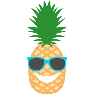 300x300 Silhouette Design Store