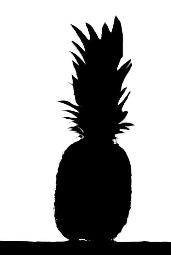 600x896 Pineapple Silhouette Clipart Panda