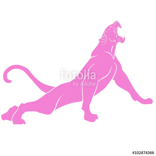500x500 Snarling Pink Panther With Huge Tusks Stock Image And Royalty