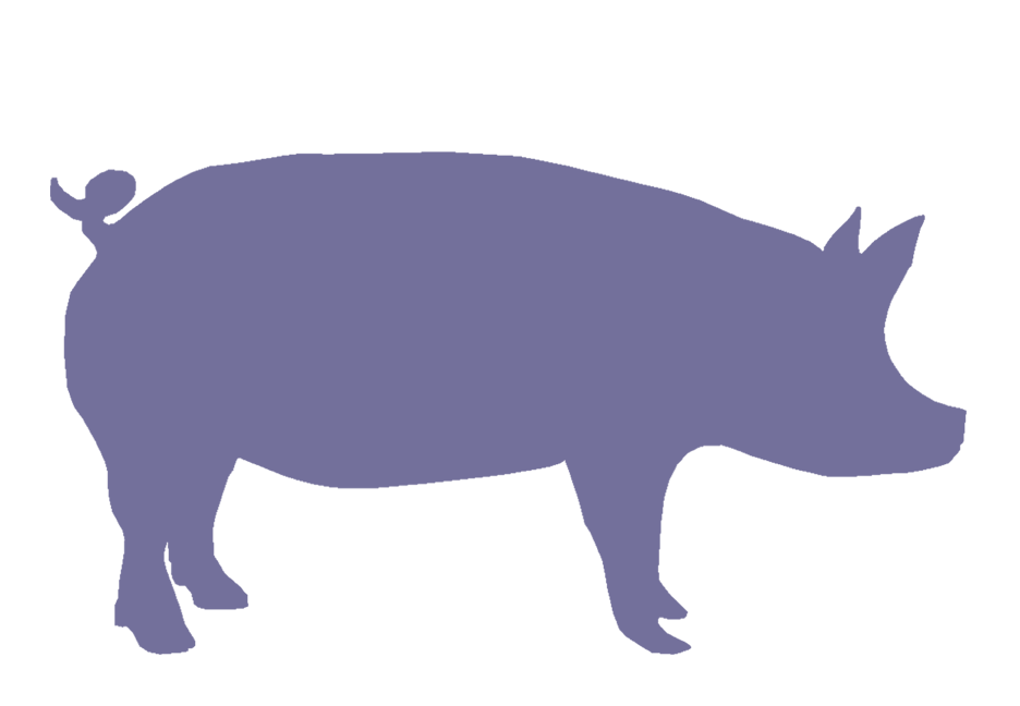 936x648 Show Pig Silhouette