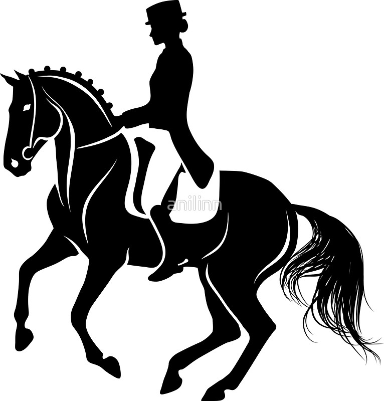 766x800 Detailed Silhouette Of A Dressage Horse Performing Pirouette