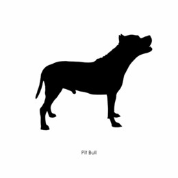 260x260 Picture It On Canvas