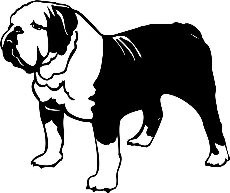 784x659 Pitbull Clipart Bulldog