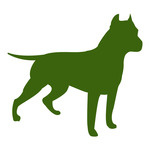 150x150 Pitbull