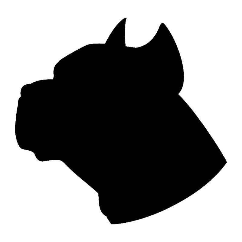 800x800 Pitbull Dog Bracelets Dog Lovers Tomorrow's Gift Shop