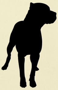 190x293 Pitbull Silhouette By Surreal197 Spreadshirt
