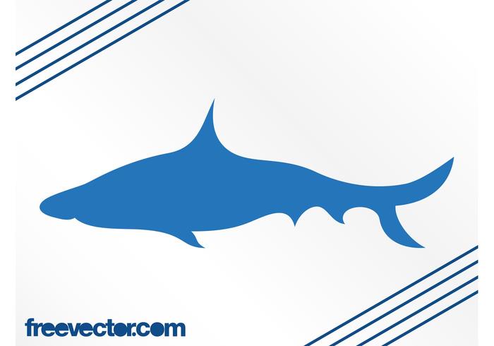700x490 Shark Free Vector Art