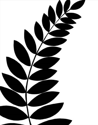340x432 Leaf Silhouette I Fine Art Print By Chariklia Zarris