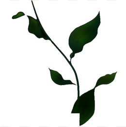 260x261 Plant Silhouette Png, Vectors, Psd, And Clipart For Free Download