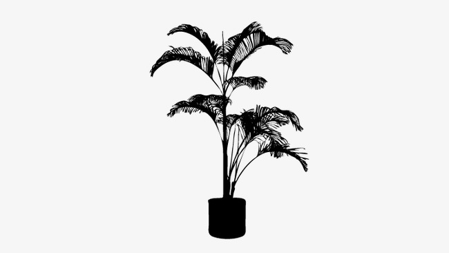 650x366 Pot Silhouette, Plant Silhouette, Vector Plant Png And Vector