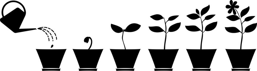 863x240 Search Photos Silhouette Of Plant