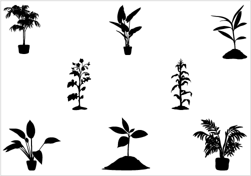 502x352 Little Plant Silhouette Vector
