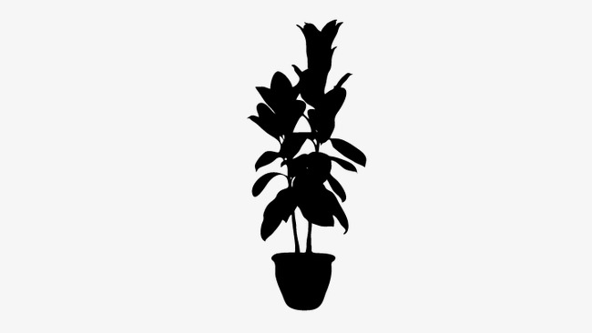 650x366 Plant Silhouette, Pot Silhouette, Vector Plant Png And Vector