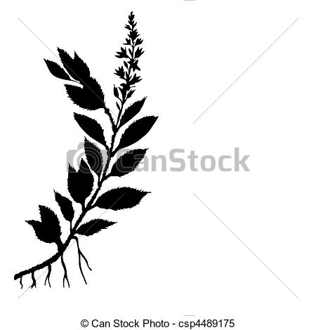 450x470 Vector Silhouette Field Plant On White Background Clipart Vector