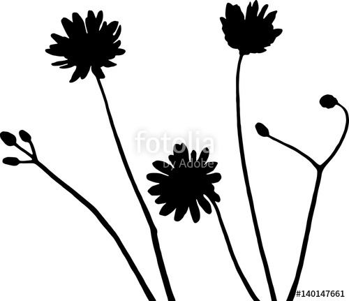 500x431 Wildflowers Silhouette Vector Illustration In Black And White