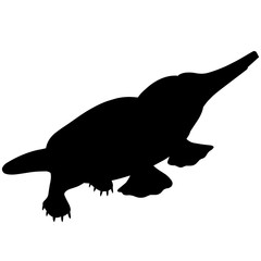 240x240 Platypus Silhouette Vector Graphics