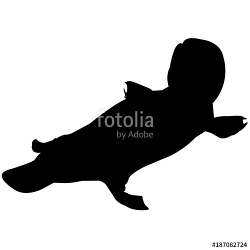 500x500 Platypus Silhouette Vector Graphics Stock Image And Royalty Free