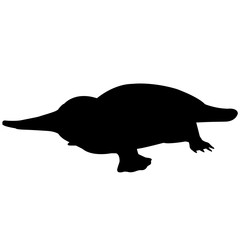 240x240 Search Photos Duckbilled