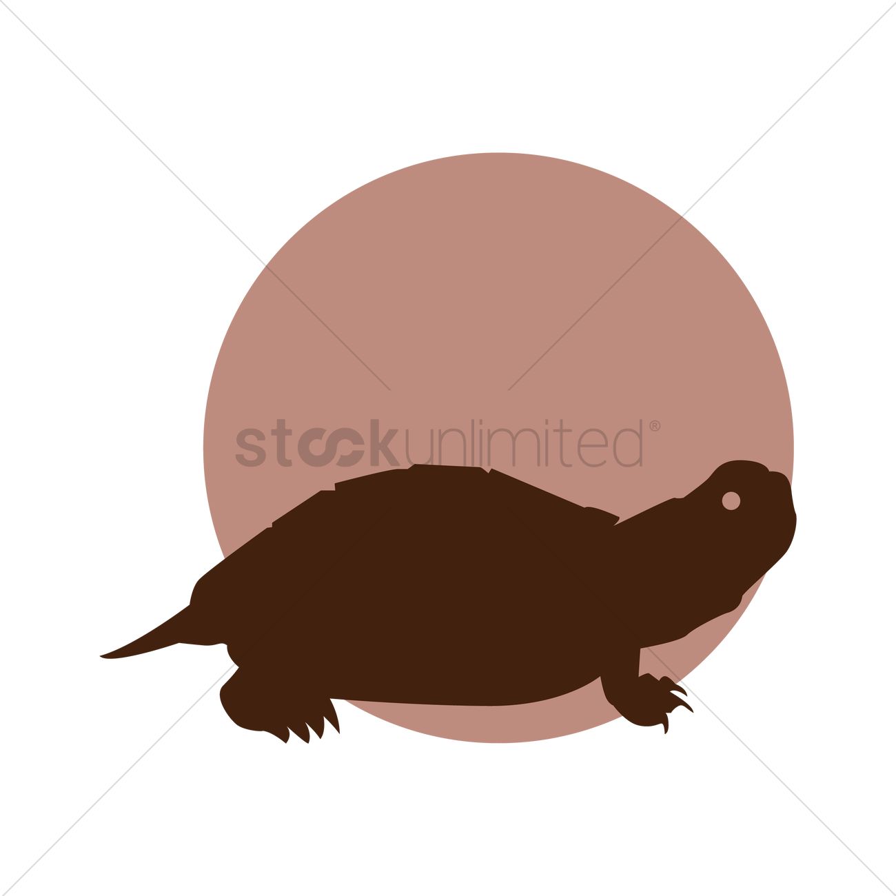1300x1300 Silhouette Of A Tortoise Vector Image