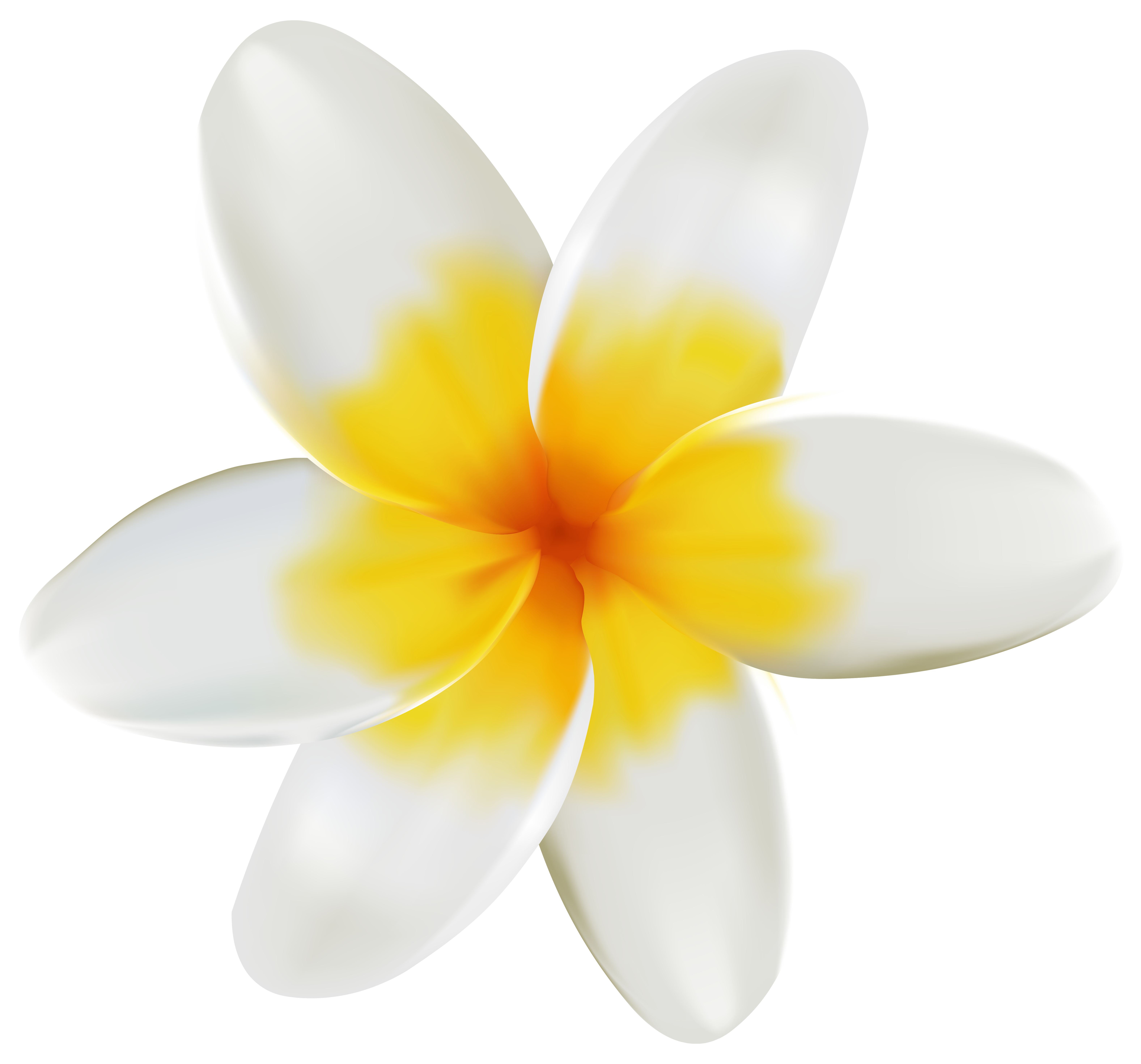 6308x5880 Plumeria Png Clipart Imageu200b Gallery Yopriceville