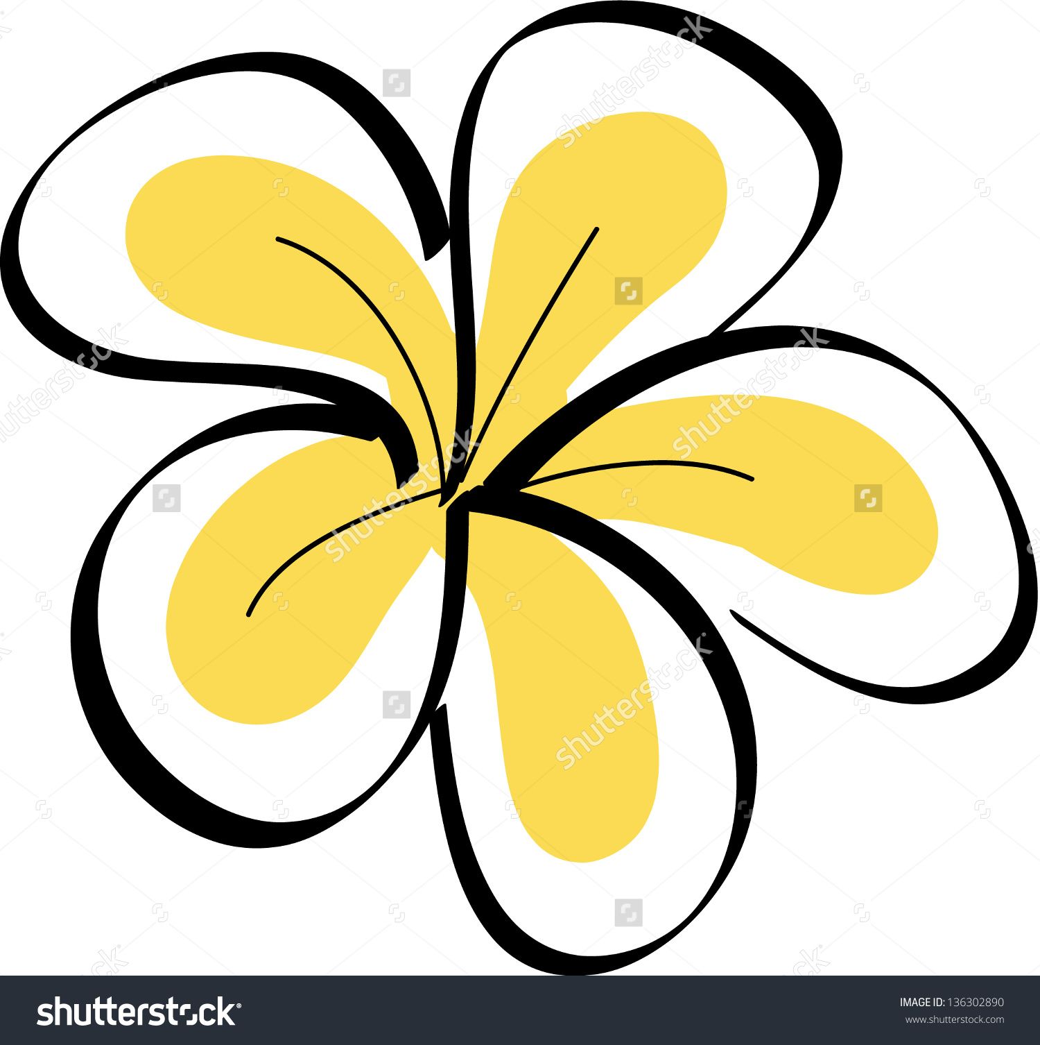 1500x1506 Drawing Tropical Plumeria Flowers Vector Preview. Save