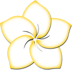 250x242 Plumeria