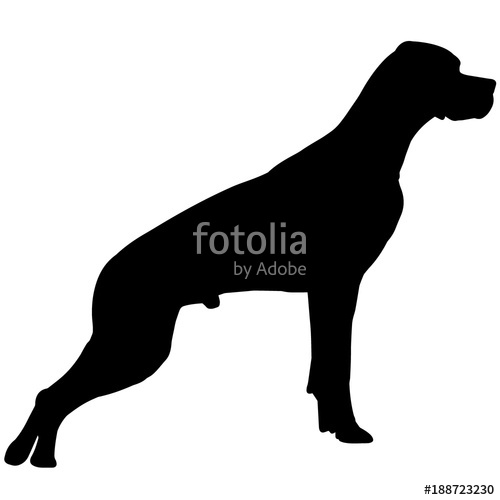 500x500 German Shorthaired Pointer Dog Silhouette Vector Graphics Stock