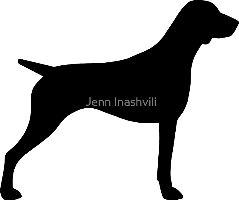 800x670 German Shorthaired Pointer Silhouette(S) Stickers By Jenn