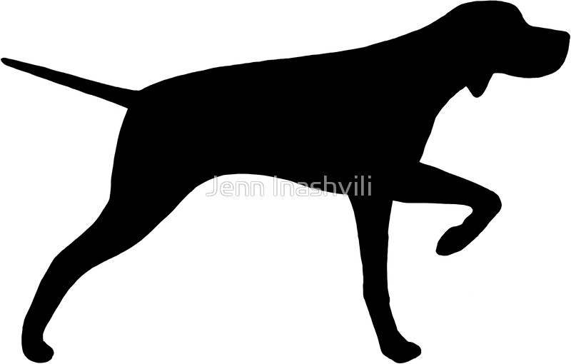 800x510 Pointer Dog Silhouette(S) Stickers By Jenn Inashvili Redbubble
