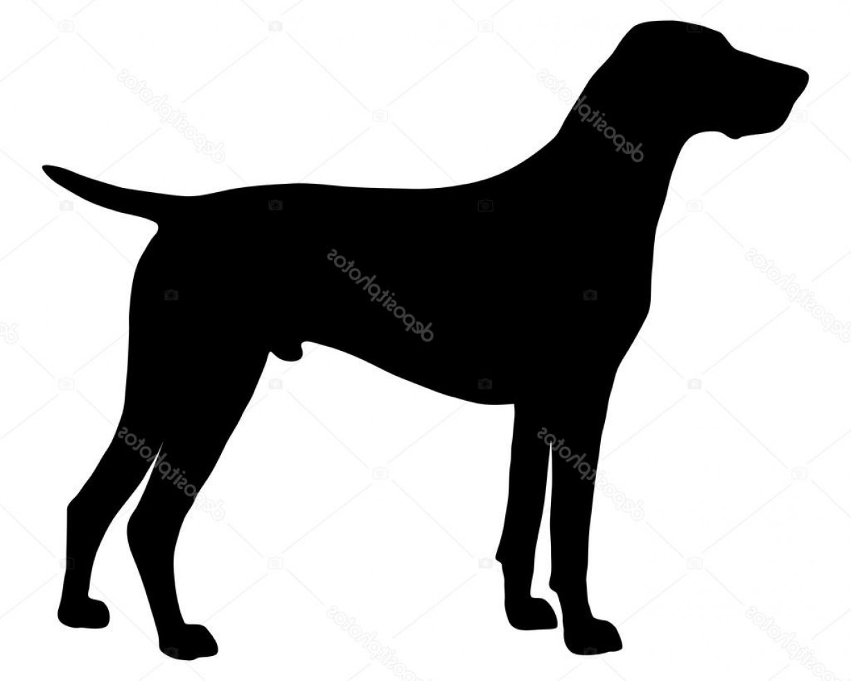 1228x982 Pointer Dog Vector Createmepink