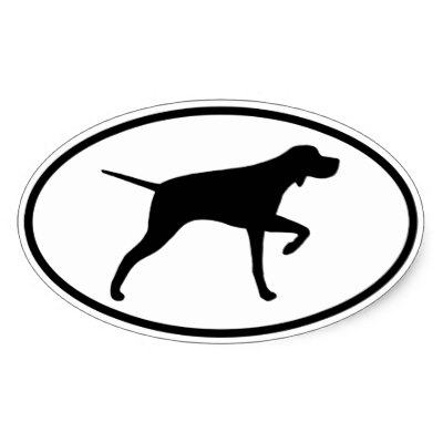 400x400 English Pointer Dog Stickers, Gift Idea Classic Round Sticker