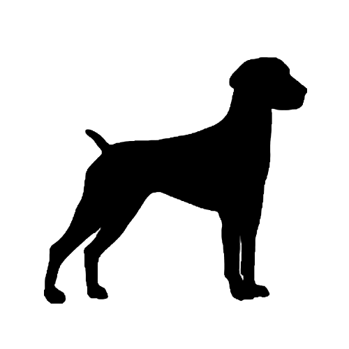 500x500 German Shorthaired Pointer Silhouette Decal