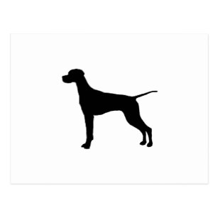 307x307 Pointer Silhouette Postcards Zazzle