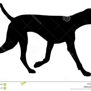 300x300 Stock Illustration The Black Silhouette Of A Createmepink