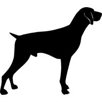 200x200 Pointer Dog Silhouette