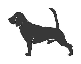 340x270 Hunting Dog Svg File Etsy