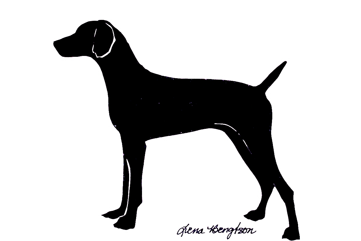 1233x823 My Pet Silhouette