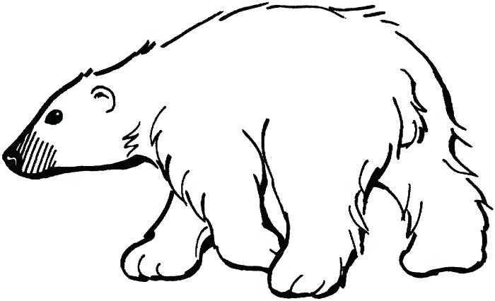 700x426 How To Draw A Bear Outline Drawings Outlines And Bears How To Draw