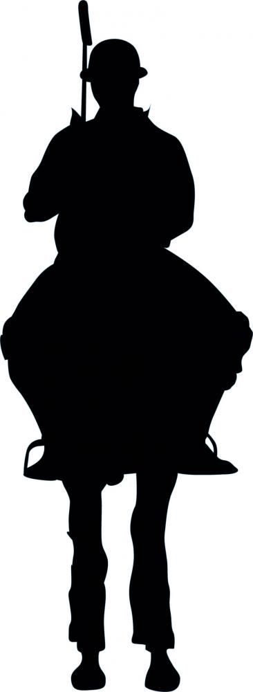 366x1000 Polo Sport Silhouette