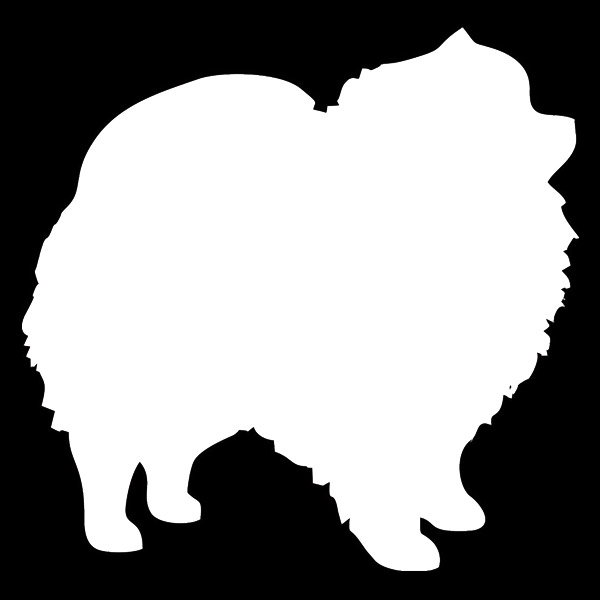 600x600 Pomeranian Decal