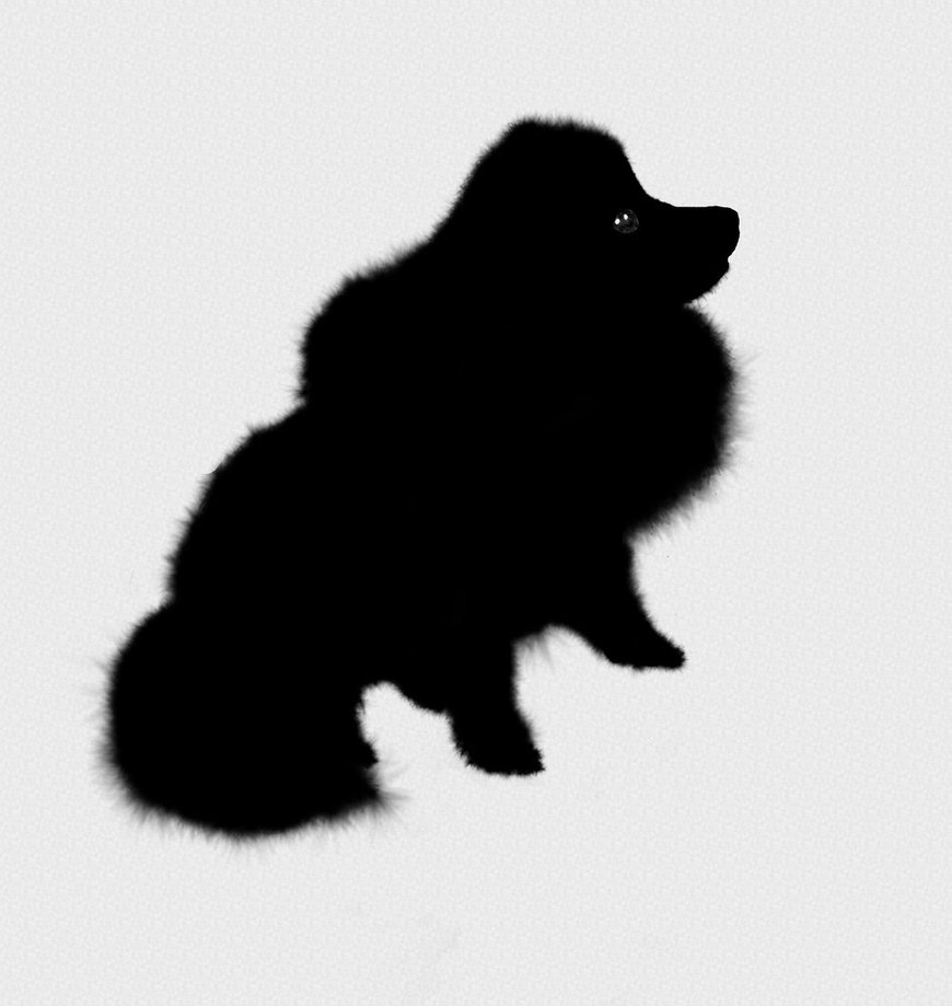 870x919 Pomeranian Silhouette By Soren The Jnaii Tyto