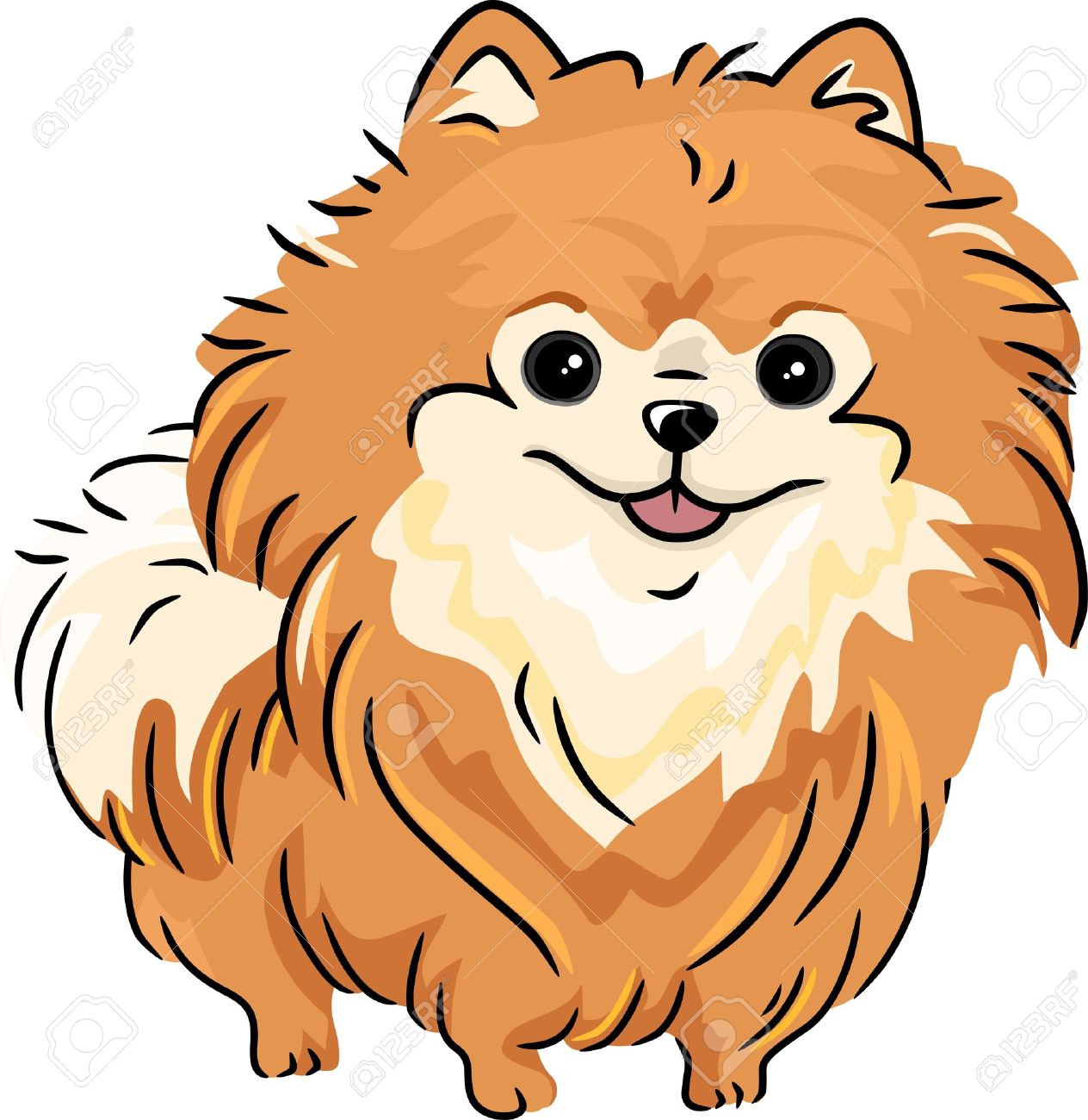 1264x1300 Pomeranian Clipart