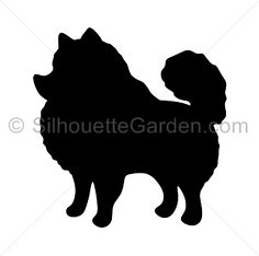 236x234 Pomeranian Pillow 18x18